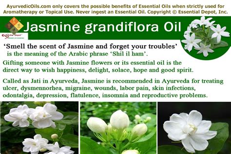 hair style with jasmine flower|health benefits of jasmine flower.